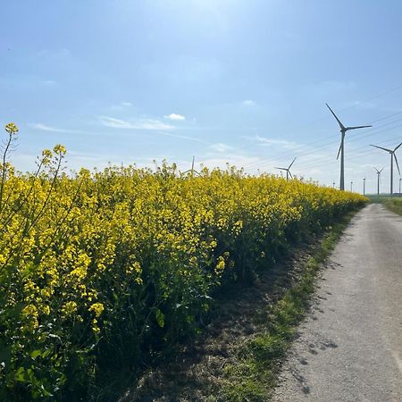 Kaisers Ferienhaus Kaifenheim Exteriör bild